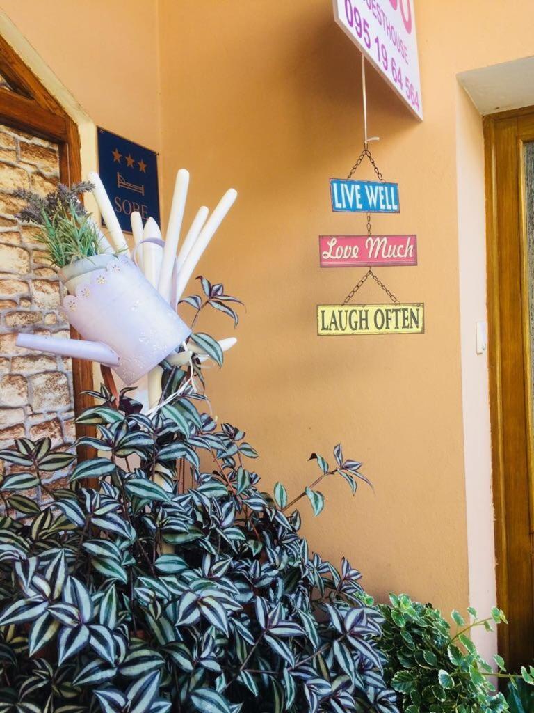 Guesthouse Coco สลาวอนสกีบรอด ภายนอก รูปภาพ