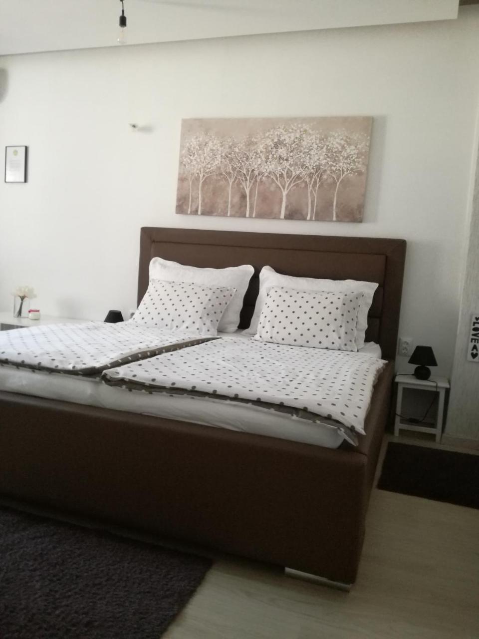 Guesthouse Coco สลาวอนสกีบรอด ภายนอก รูปภาพ