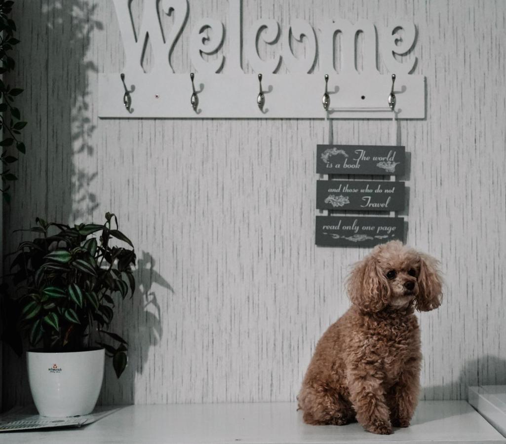 Guesthouse Coco สลาวอนสกีบรอด ภายนอก รูปภาพ